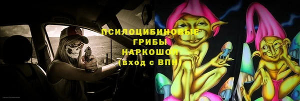 ПСИЛОЦИБИНОВЫЕ ГРИБЫ Нефтекумск