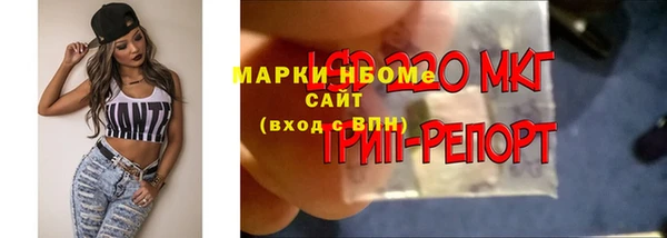 таблы Нея